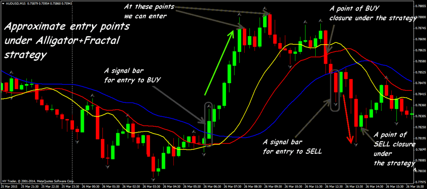 Perfect forex trading strategy