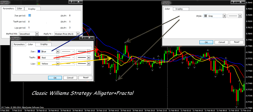 fractals trading