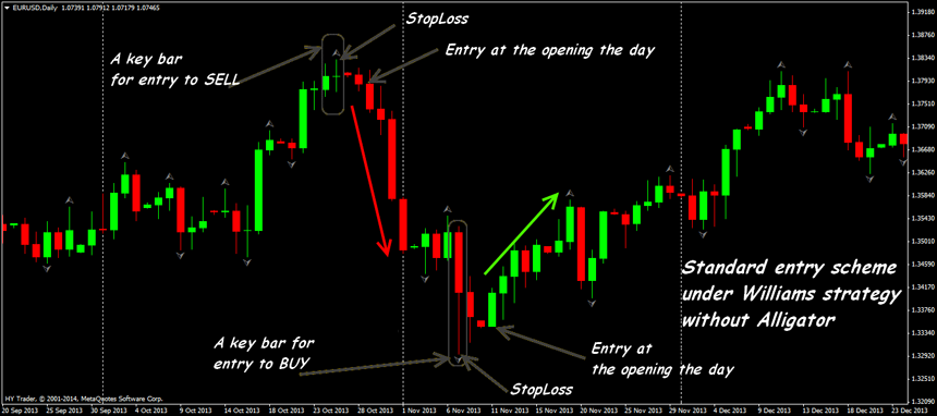 Forex Fractals Strategy How To Use Fractals In Forex Trading