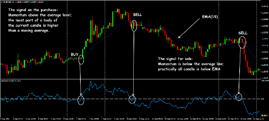 forex momentum indicator