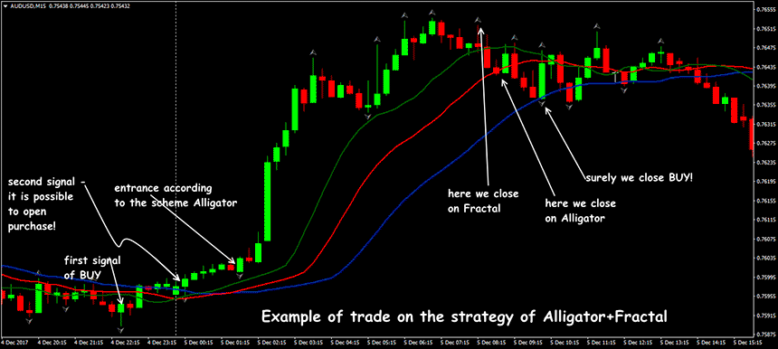 fractal indicator