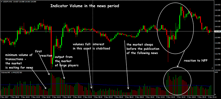 sort volume indicator for forex