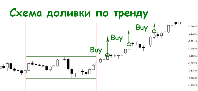 Стратегия черепах форекс