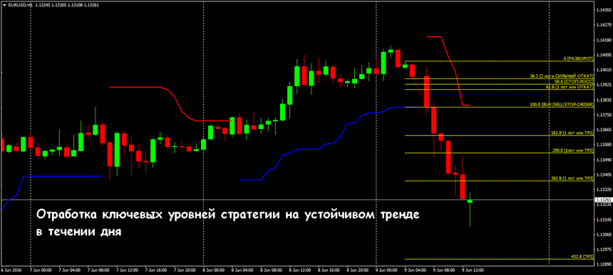 летучая мышь на валютном рынке