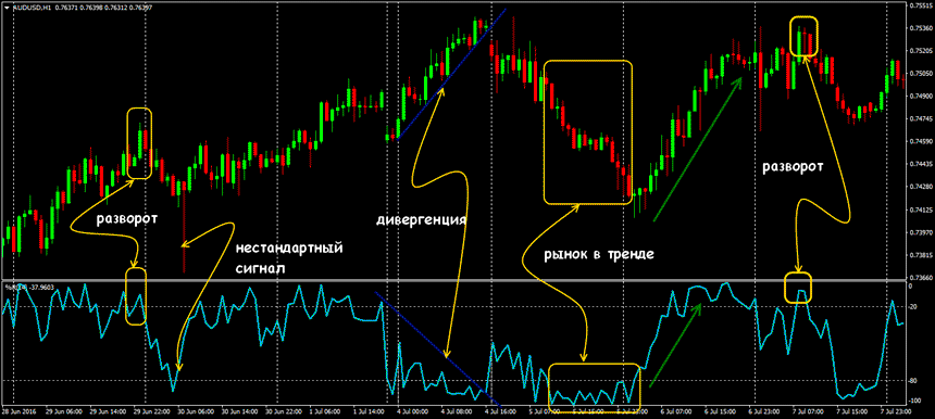 wpr индикатор валютный рынок